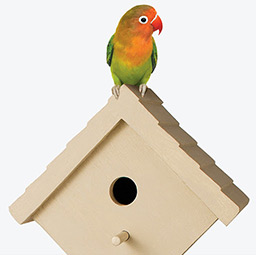 Avis de changement d’adresse