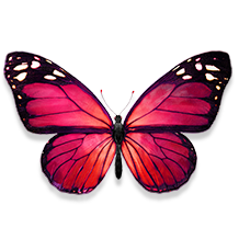 Exclusive Offers And Perks For Existing Quebec Customers Telus