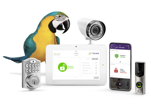 Découvrez la solution Maison connectée de TELUS