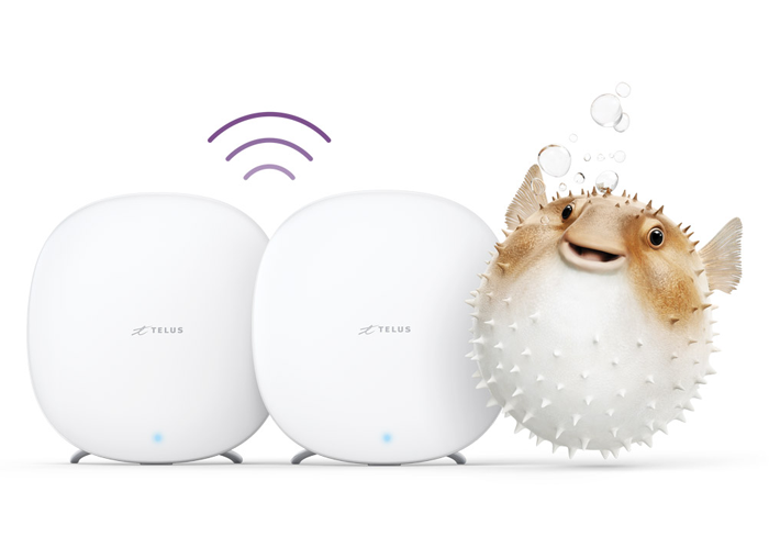 Une meilleure couverture sans fil grâce aux Wi-Fi amplifié TELUS