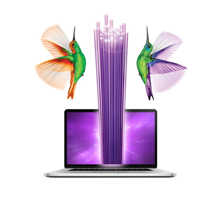 OPTIK 250, notre Internet le plus puissant!