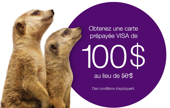 Offre bonifiée!