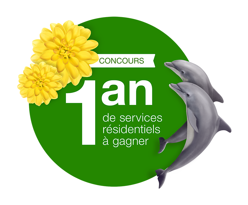 Offre bonifiée!